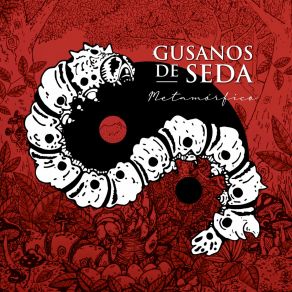 Download track Claridad Gusanos De Seda