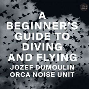 Download track Breathing Under Water Jozef Dumoulin, Orca Noise Unit