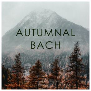 Download track Orchestral Suite No. 1 In C Major, BWV 1066: 5. Forlane Musica Antiqua Koln, Reinhard Goebel