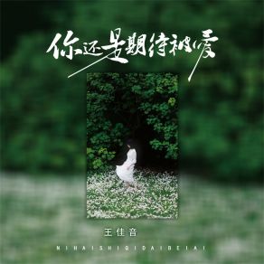 Download track 你还是期待被爱 (伴奏) 王佳音