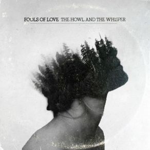 Download track Swan Dive Fools Of Love