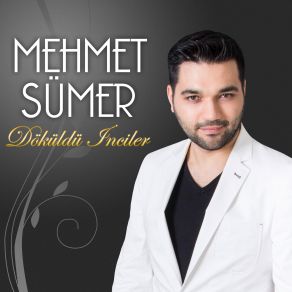 Download track Giden Hiç Dönmeyecek Mehmet Sümer