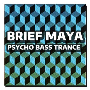 Download track Electroid Music Brief Maya