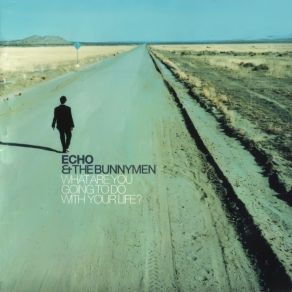 Download track Get In The Car Echo & The Bunnymen
