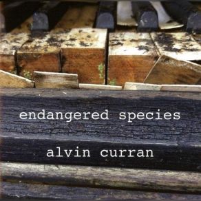 Download track Bewitched, Bothered And Bewildered (Take 3) Alvin Curran