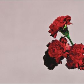 Download track For The First Time John Legend