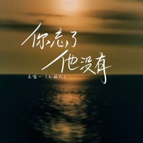 Download track 你忘了他没有 王唯一 (九姨太)