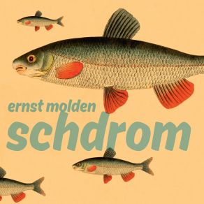 Download track Menschn En Woed Ernst Molden