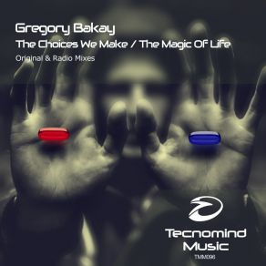 Download track The Magic Of Life (Radio Edit) Gregory Bakay