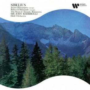 Download track Sibelius: Suite From Pelléas And Mélisande, Op. 46: No. 9, The Death Of Mélisande Hallé Orchestra, Sir John Barbirolli