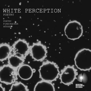 Download track Poetry (Original Mix) White Perception