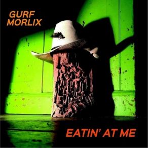 Download track Last Call Gurf Morlix