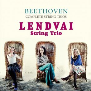 Download track Serenade In D Major, Op. 8: VI. Thema Con Variazioni: Andante Quasi Allegretto Lendvai String Trio