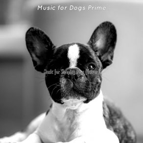 Download track Bubbly Cute Puppies Music For Dogs Prime