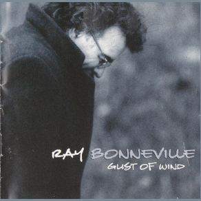 Download track The Price To Pay Ray Bonneville