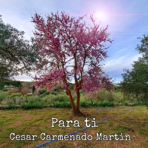 Download track Anasazi Cesar Carmenado Martin