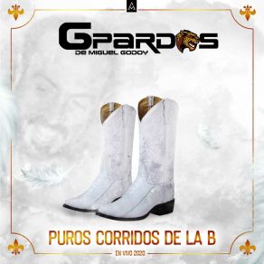 Download track El Jefe De Las Plazas (En Vivo) Gpardos De Miguel Godoy