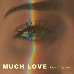 Download track Much Love Liquid Groove