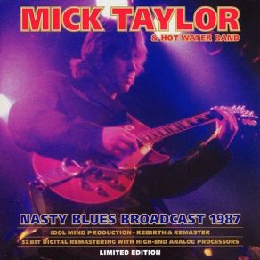 Download track Laundromat Blues Mick Taylor, Hot Water Band