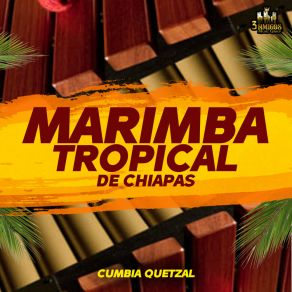 Download track Aunque Me Cueste La Vida Marimba Tropical De Chiapas