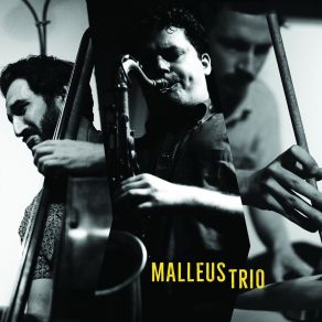 Download track Salem Malleus Trio