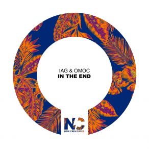 Download track In The End (Tropical Version) Iag & Omoc