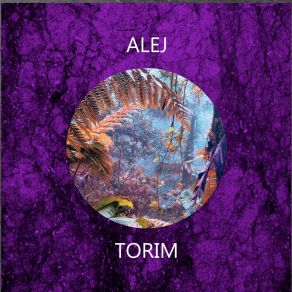 Download track Torim ALEJ