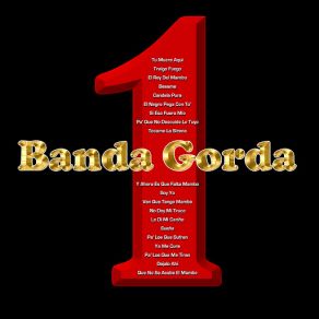 Download track Dejalo Ahi La Banda Gorda