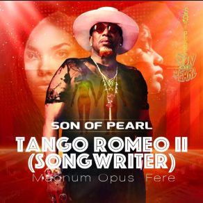 Download track Soulful Muse (Outro) Son Of Pearl