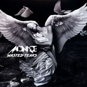 Download track Wasted Tears (Soulshaker Original Radio Edit) Monroe