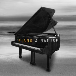 Download track Night Time Piano Instrumental Universe