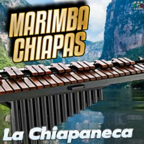 Download track Tiburon Tiburon Grandes MarimbasMarimba Chiapas