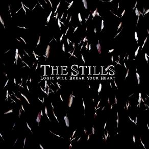 Download track Of Montreal Stills