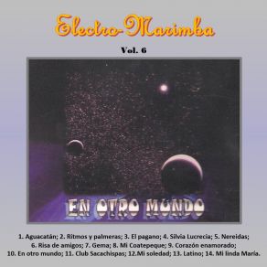 Download track Risa De Amigos Electro-Marimba