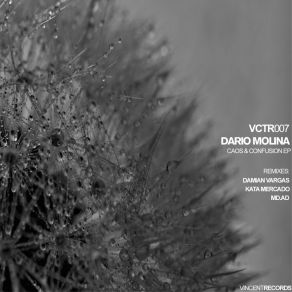 Download track Confusion (Kata Mercado Remix) Dario MolinaKata Mercado