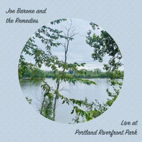 Download track Badfish (Live) Joe Barone