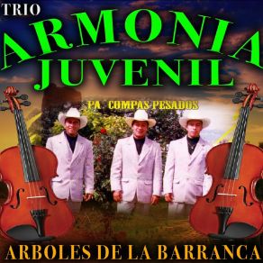 Download track El Correlon Trio Armonia Juvenil