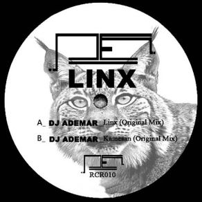 Download track Linx DJ Ademar