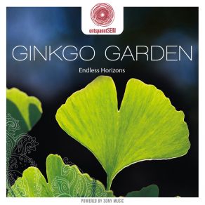 Download track Wavering Lights Ginkgo Garden