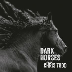 Download track Lonesome Dog Blues Lonesome Chris Todd