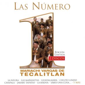 Download track Las Bodas De Luis Alonso Mariachi Vargas De Tecalitlán