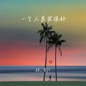 Download track 一个人其实很好 掠影D.