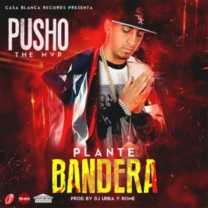 Download track Plante Bandera Pusho