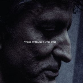 Download track Felicidade Vinicius Cantuária