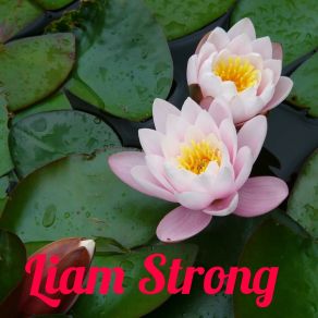 Download track Hide Liam Strong