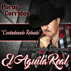 Download track Polvo Maldito Jose Mercedes Bojorquez 