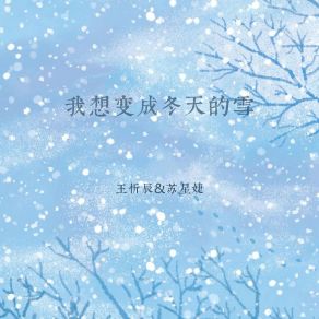 Download track 我想变成冬天的雪 苏星婕