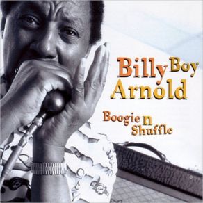 Download track Just Your Fool Billy Boy Arnold