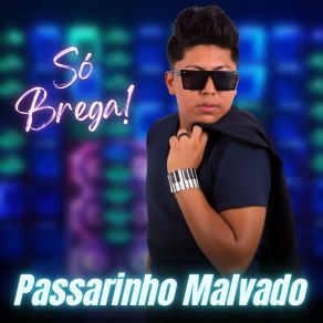 Download track Pega O Guanabara Passarinho Malvado