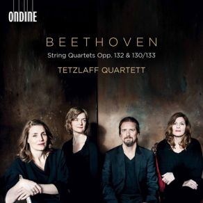 Download track String Quartet No. 13 In B-Flat Major, Op. 130 (1825 Version): III. Andante Con Moto Ma Non Troppo Tetzlaff Quartett